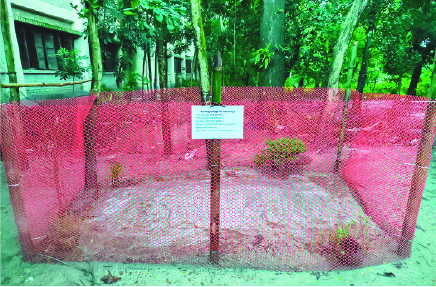 Image of মো: সাগর হাওলাদার